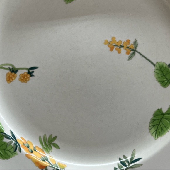 Mikasa "Summer Essence" 11 1/4 Inch Dinner Plate - Picture 2 of 4